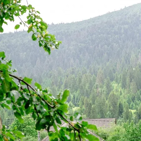 файна Feriehus *