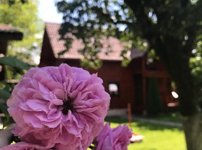 Сasa de vacaciones файна *