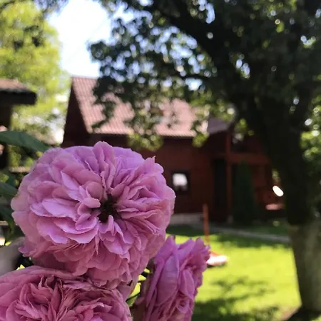 Σπίτι διακοπών файна *